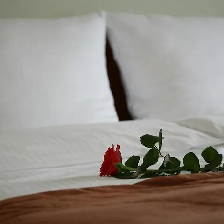 Globus Self-check In