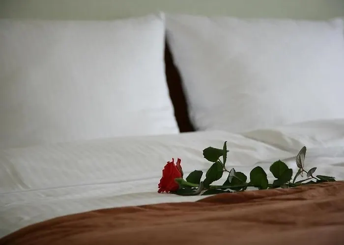 Globus Self-check In