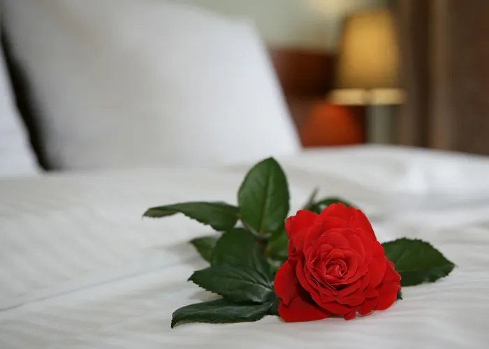 Globus Self-check In Hotel apartamentowy